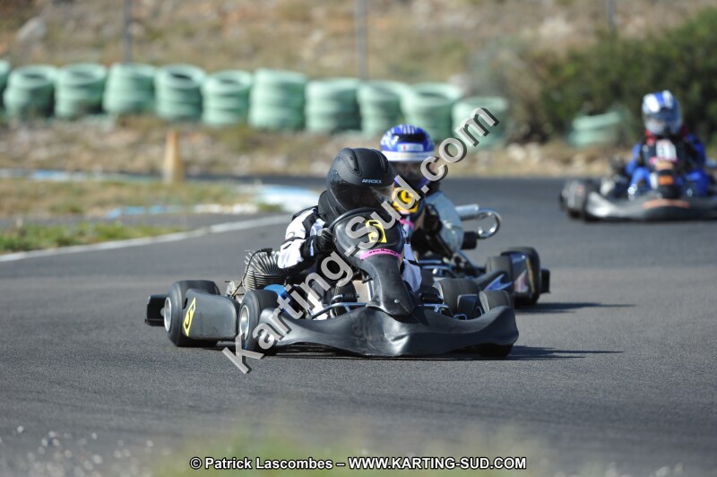 DSC (1198).JPG